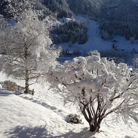 Apartment Apartment Chalet Baergsunna-2 By Interhome Grindelwald