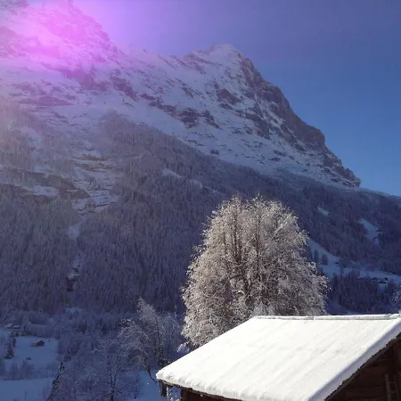Apartment Chalet Baergsunna-2 By Interhome Apartment Grindelwald