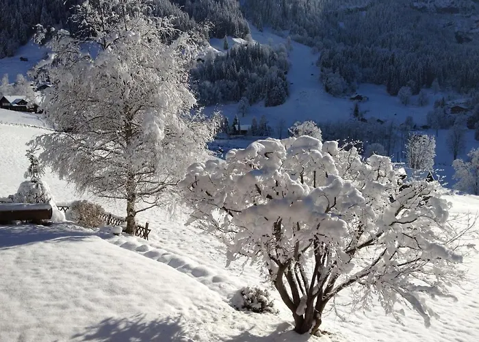 Appartement Baergsunna-2 By Interhome Grindelwald